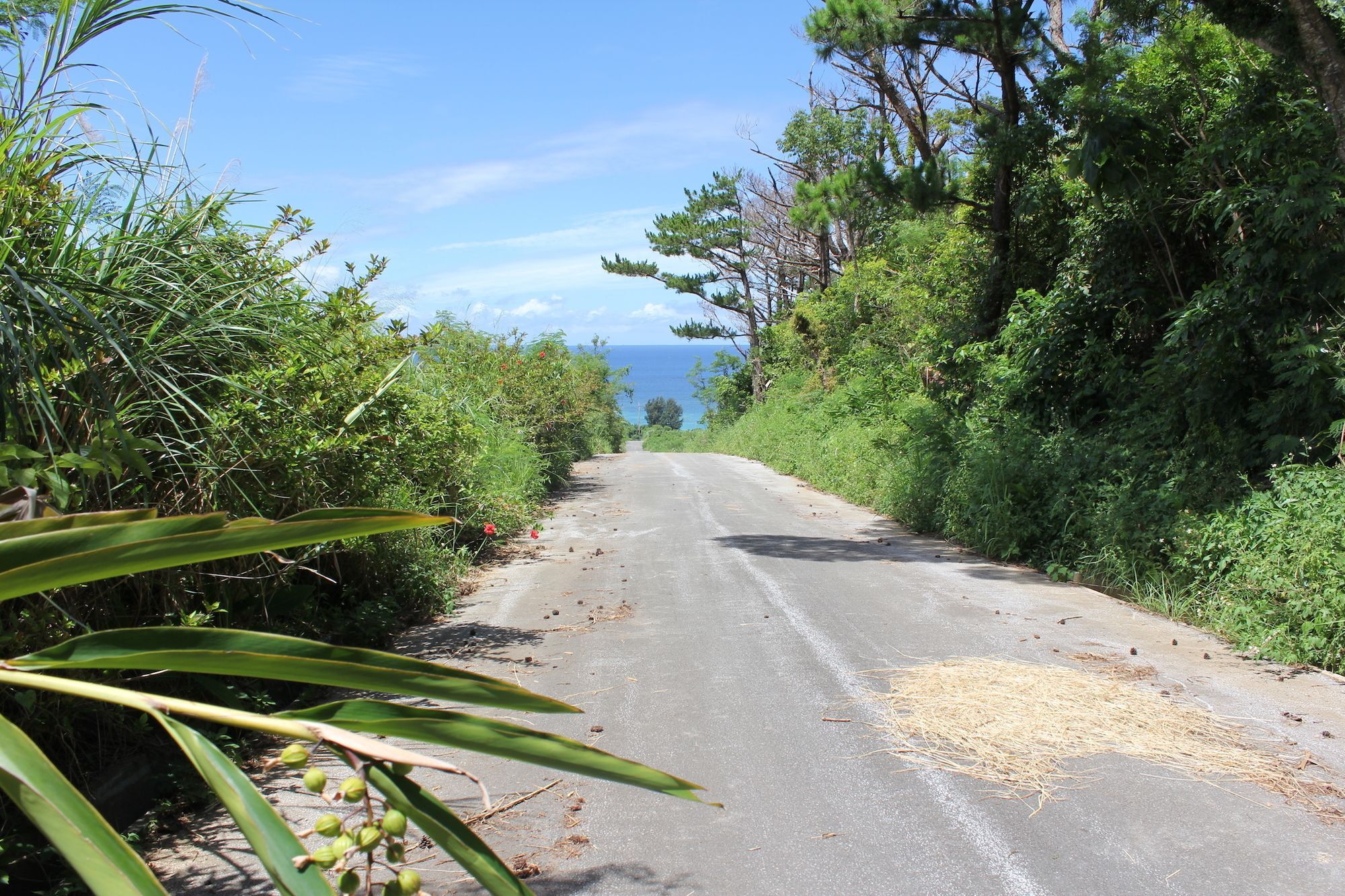 Panorama Ocean View Cottage Motobu Esterno foto